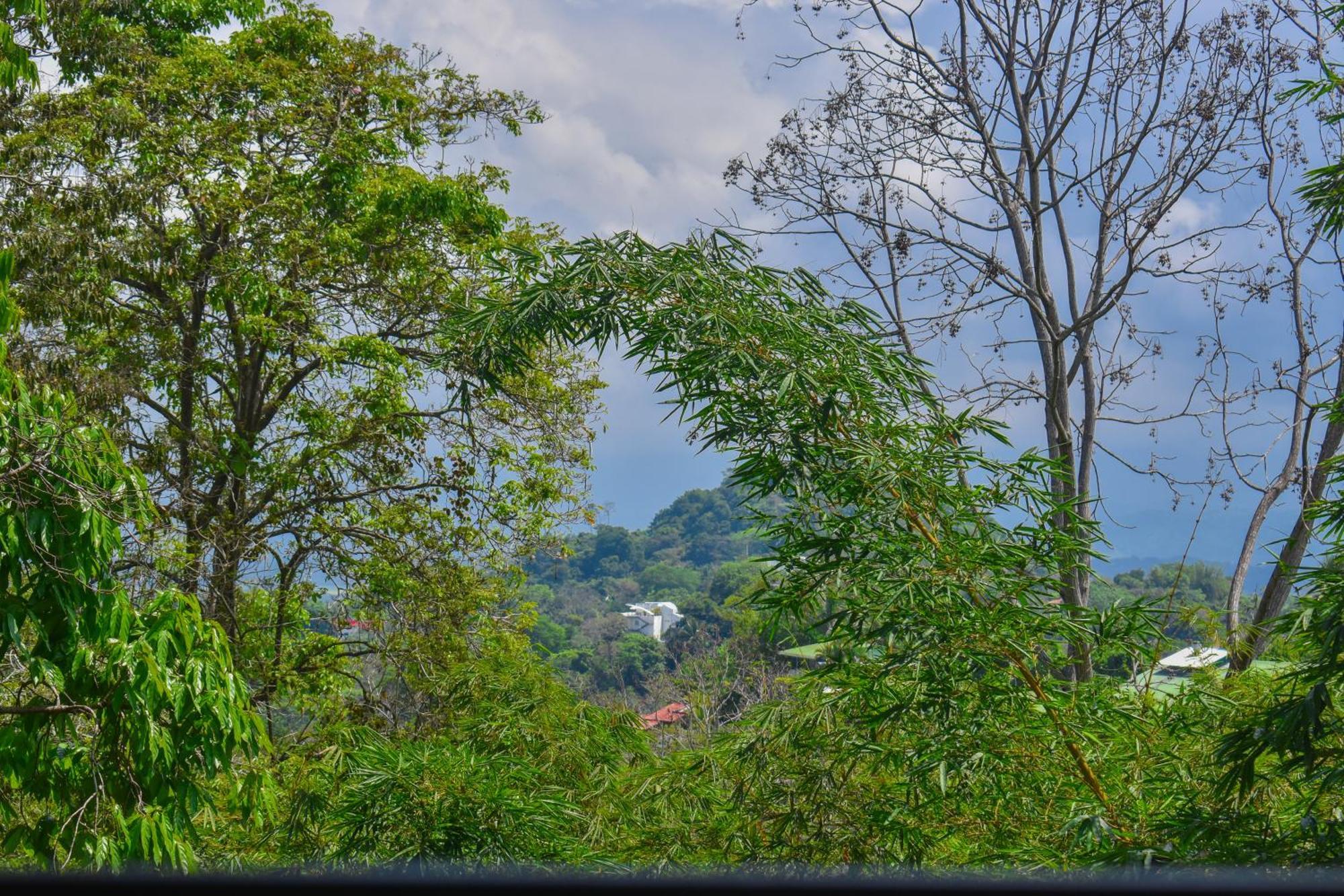 Manuel Antonio Hostel Exterior photo